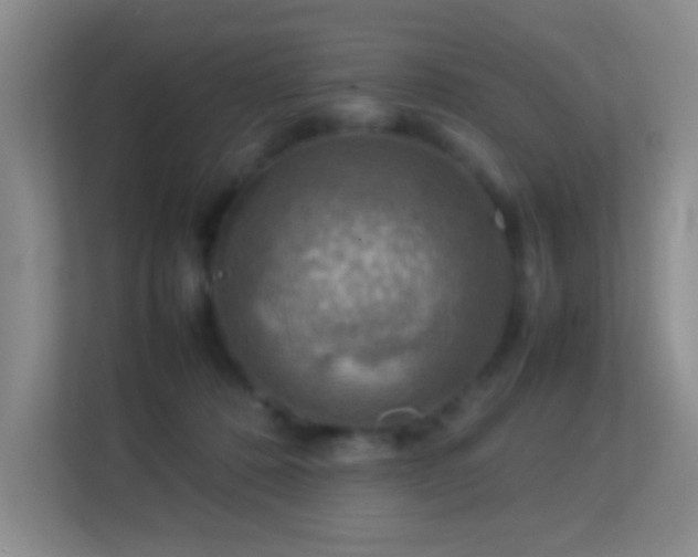 X0000113640320200909251246