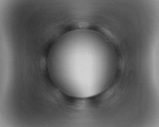 X0000113640321200909251246