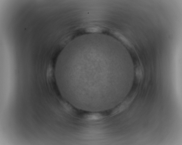 X0000113640322200909251246