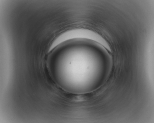 X0000113640324200909251246