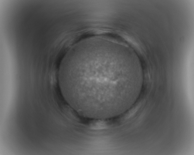 X0000113640325200909251246