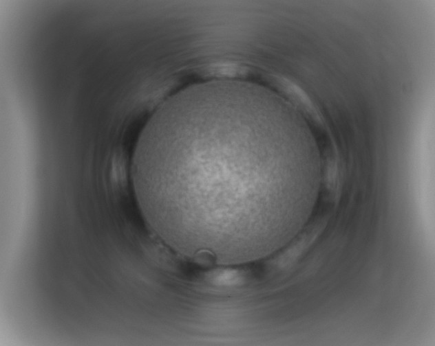 X0000113640326200909251246