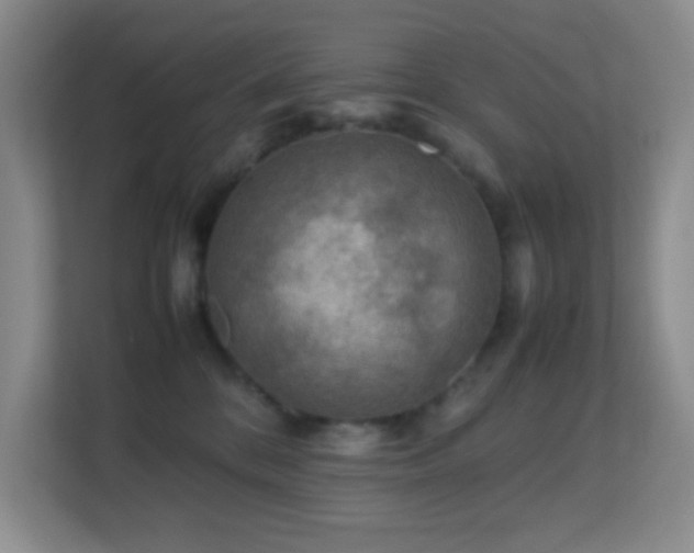 X0000113640328200909251246