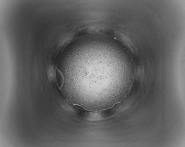 X0000113640335200909251246