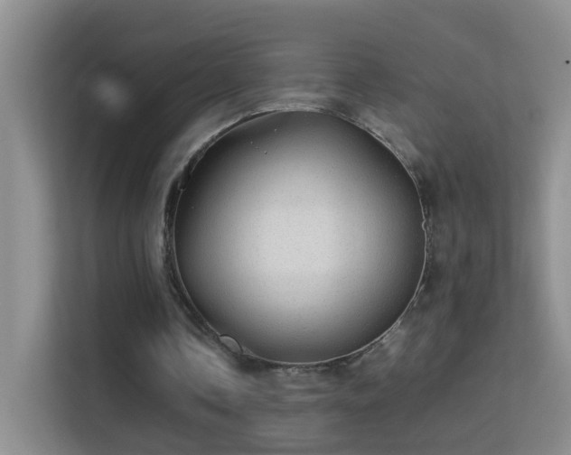 X0000113640338200909251245