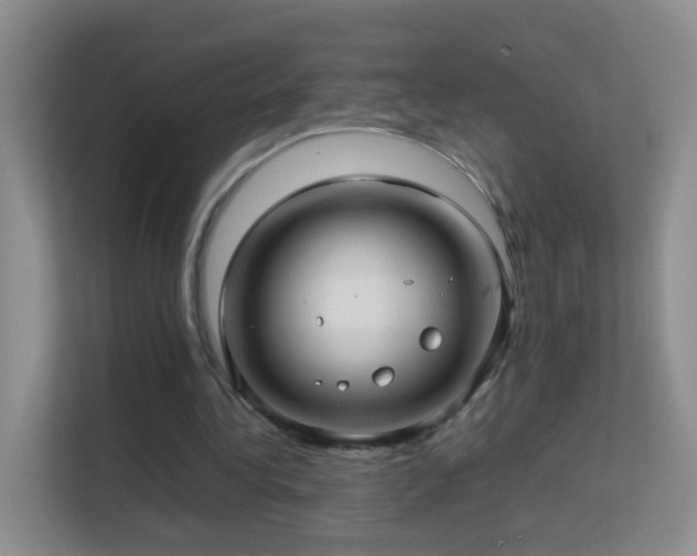 X0000113640340200909251246