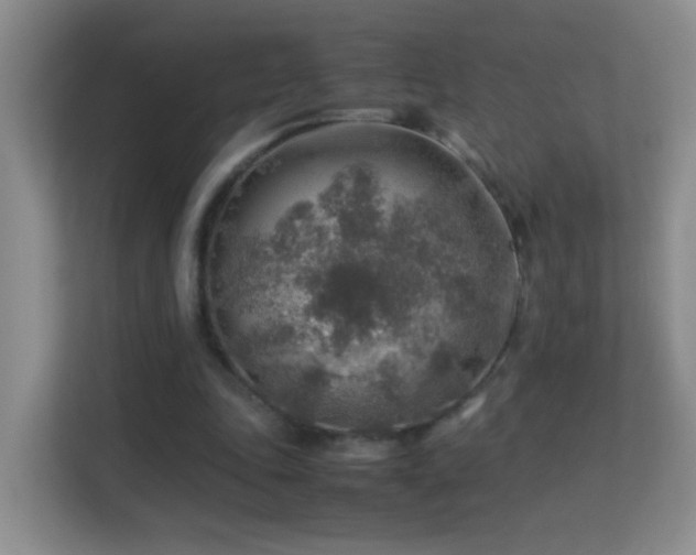 X0000113640343200909251246