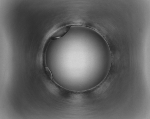 X0000113640344200909251246