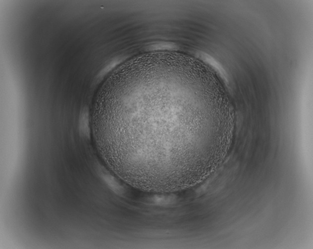 X0000113640345200909251246