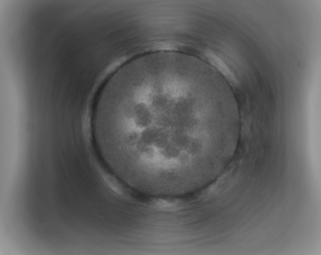 X0000113640346200909251246