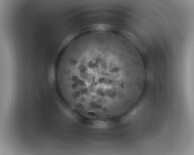 X0000113640347200909251246