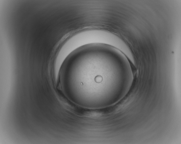 X0000113640348200909251246