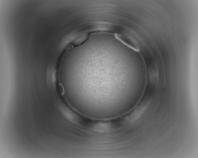 X0000113640350200909251246