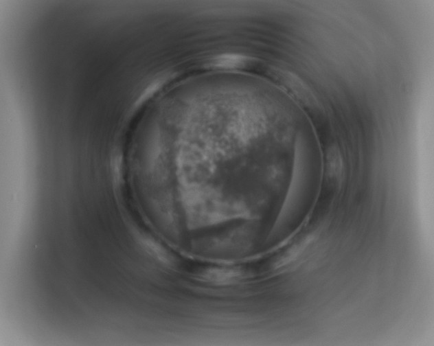 X0000113640351200909251246