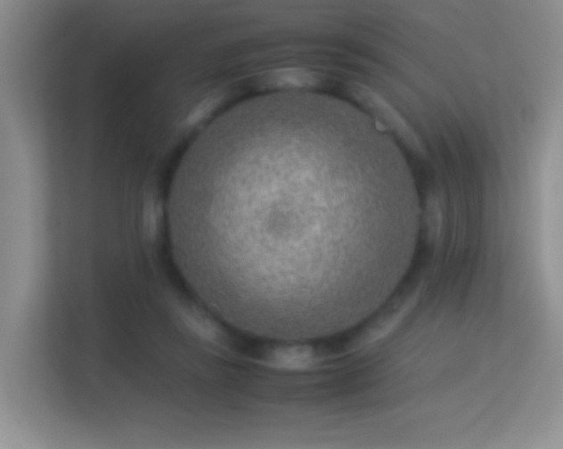 X0000113640355200909251246