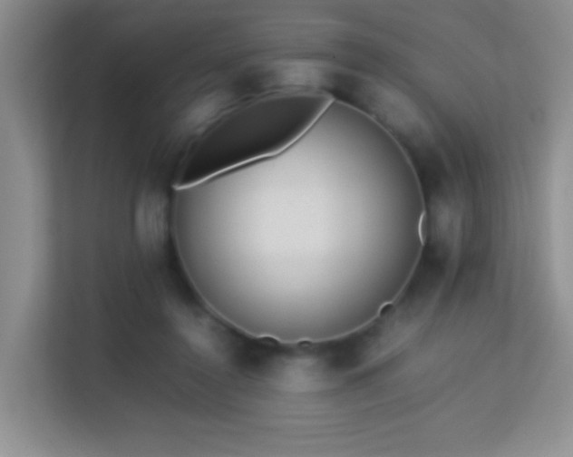 X0000113640356200909251246