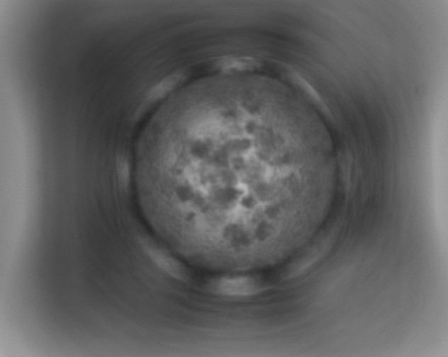 X0000113640357200909251246