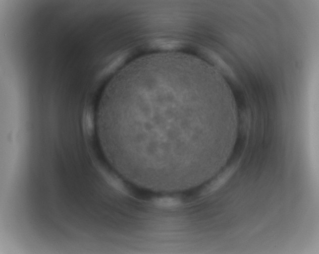 X0000113640358200909251246