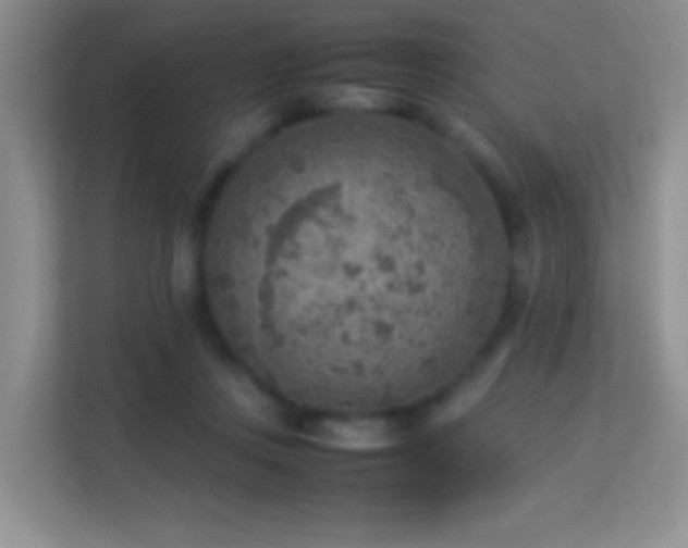 X0000113640359200909251246