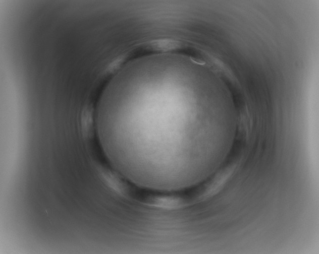 X0000113640360200909251246