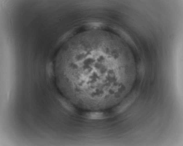 X0000113640361200909251246