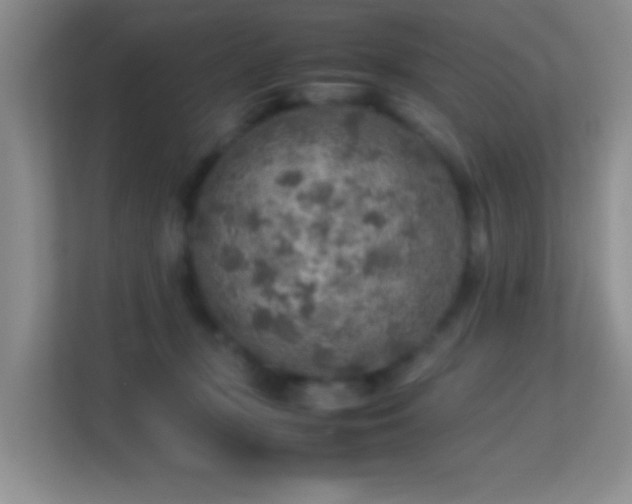 X0000113640367200909251246