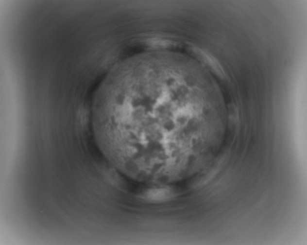 X0000113640369200909251246