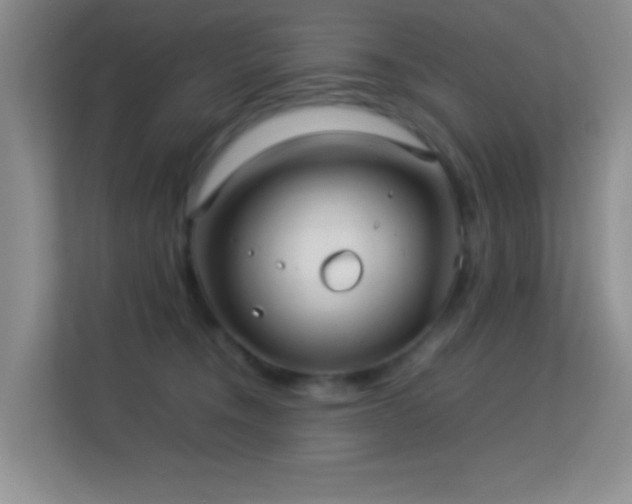 X0000113640372200909251246