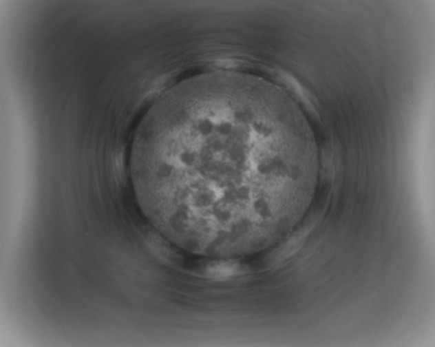 X0000113640377200909251246