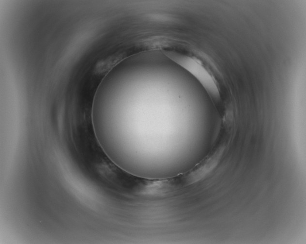 X0000113640382200909251246