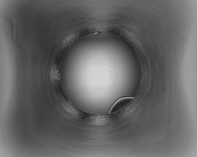 X0000113640384200909251246