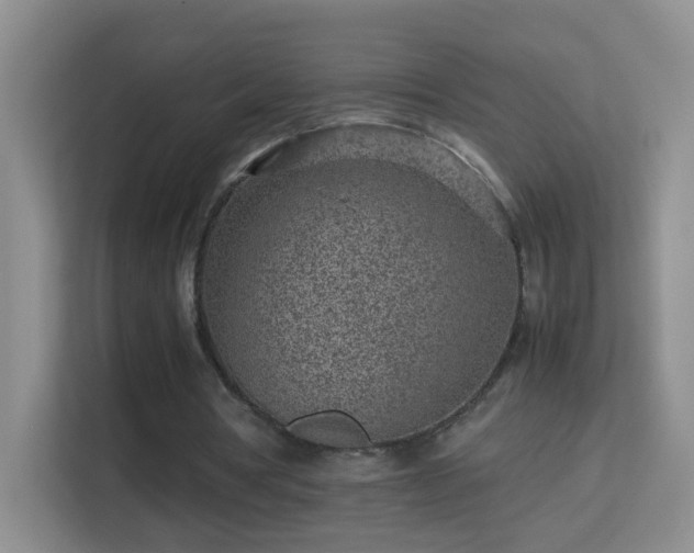 X0000113640386200909251245