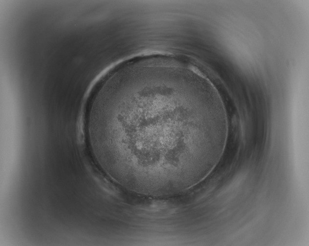 X0000113640388200909251245