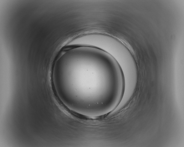 X0000113640389200909251245