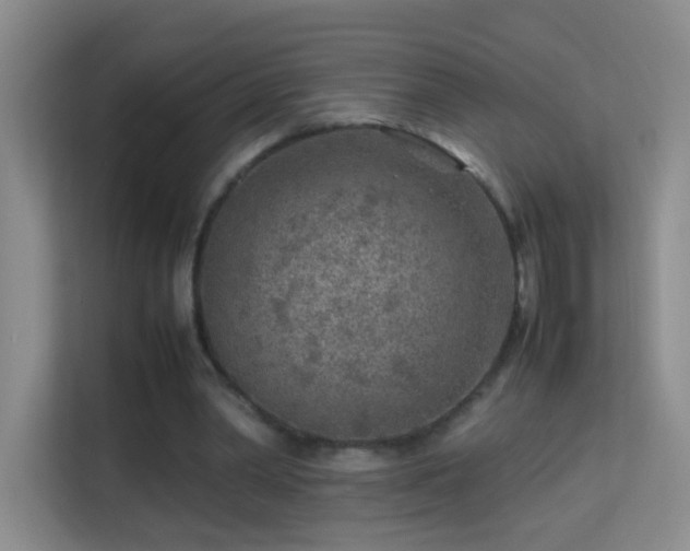 X0000113640390200909251245