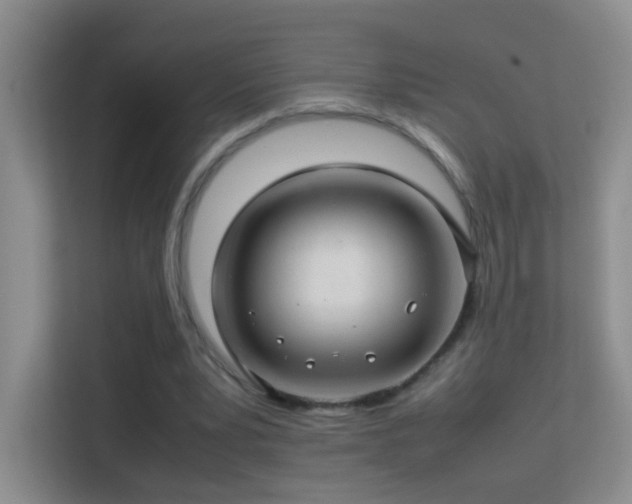 X0000113640391200909251245