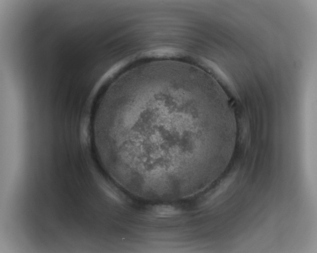 X0000113640392200909251245