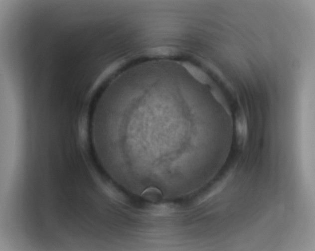 X0000113640396200909251245