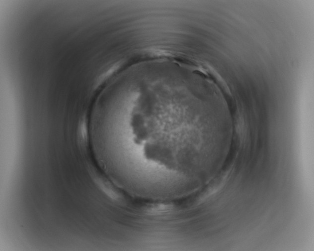 X0000113640398200909251245