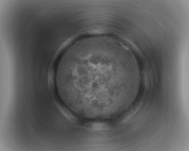 X0000113640400200909251245