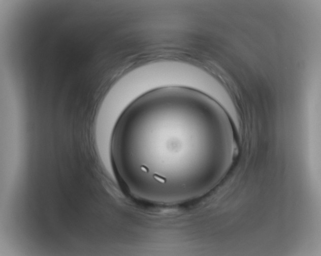 X0000113640401200909251245