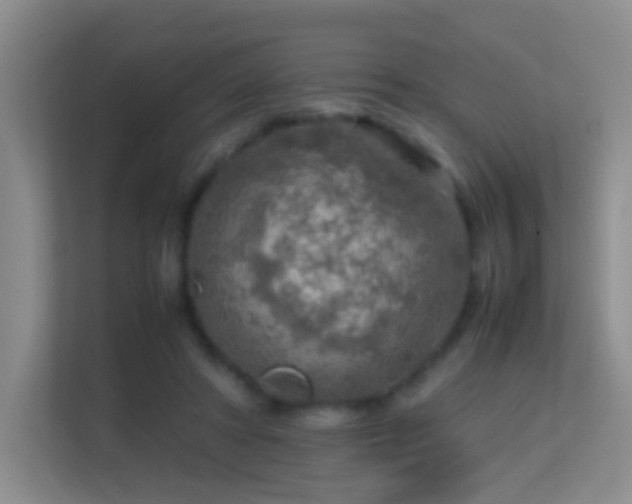 X0000113640402200909251245