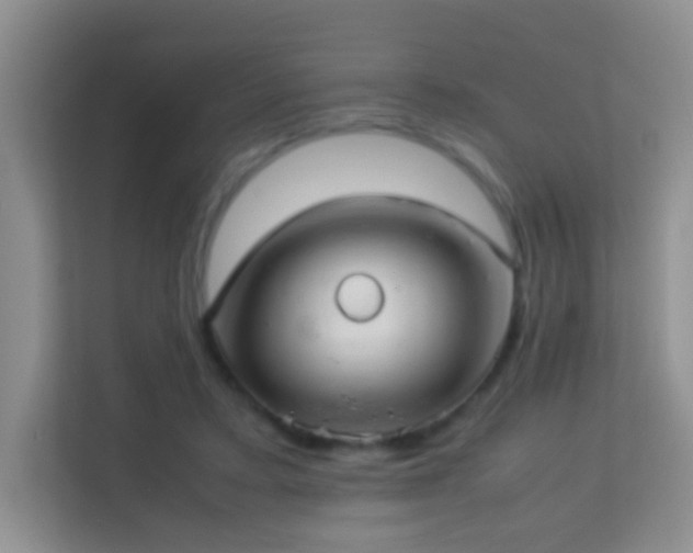 X0000113640403200909251245