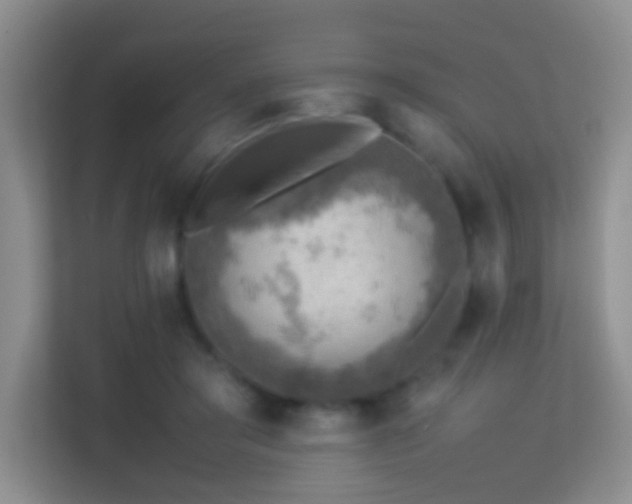 X0000113640405200909251245