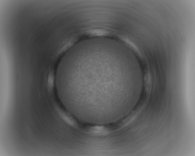 X0000113640406200909251245