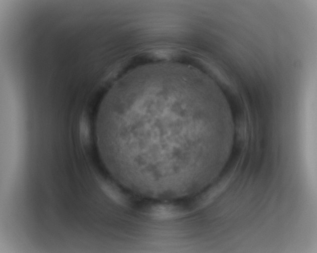 X0000113640408200909251245