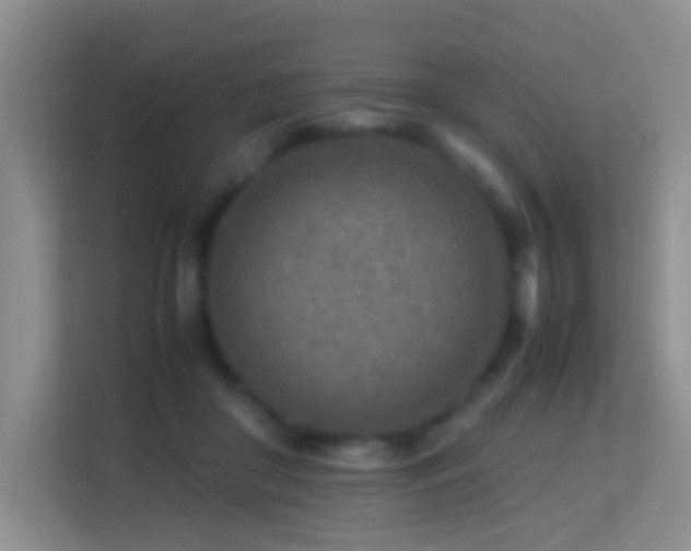 X0000113640410200909251245