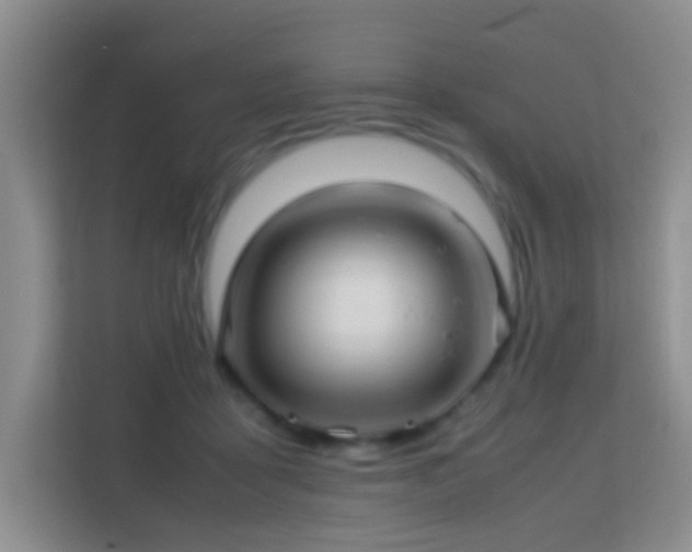 X0000113640411200909251245