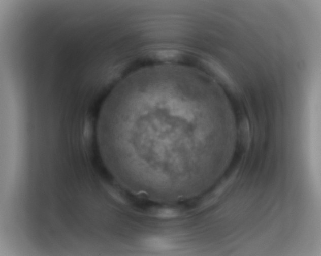 X0000113640412200909251245