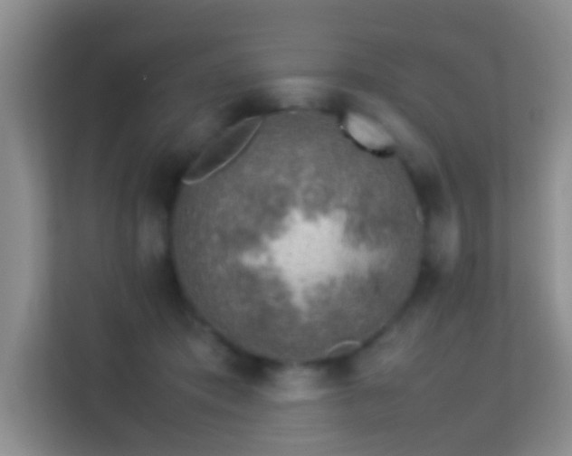 X0000113640413200909251245